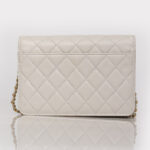 CHANEL ENCHAINED FLAP WALLET ON CHAIN BAG
