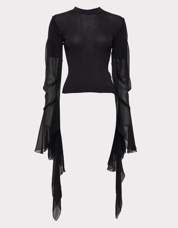 SHEER DRAMATIC SLEEVE TOP